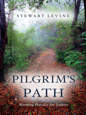 cover image of Pilgrim's Path